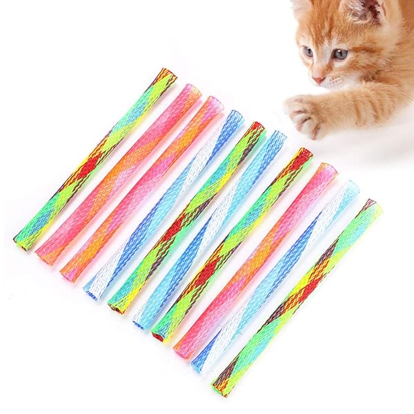 Tnfeeon 10Pcs Cat Spring Tube Toy - Colorful Interactive Bouncing Toys for Fun Pet Playtime