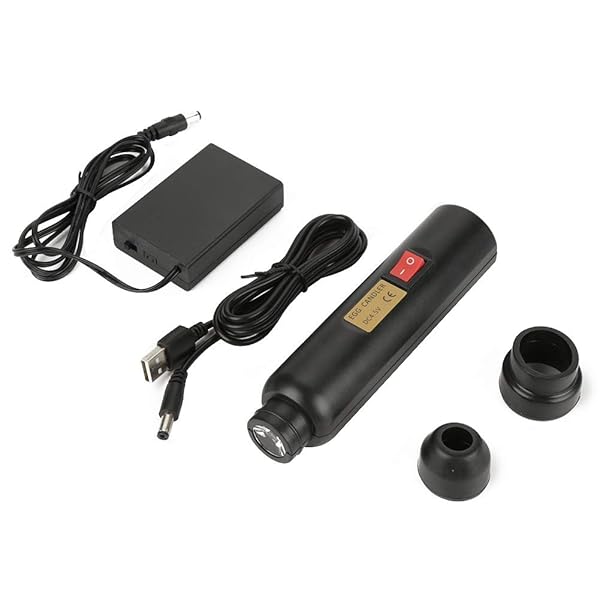 Tnfeeon LED Egg Hatching Test Light: Mini Candler for Chicken Eggs & Science Experiments