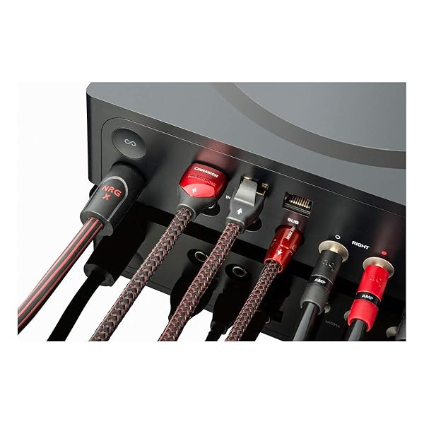 AudioQuest AudioQuest NRG-X2 Power Cable 6.56 ft (2m) - Enhance Your Audio Source Performance - View 4 of 4