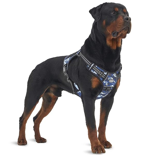 AUROTH Auroth Tactical Dog Training Harness No Pull Front Clip Reflective K9 Vest Easy Control for Small Medium Large Dogs Blue Camo