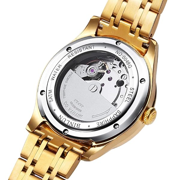 BINLUN BINLUN Men's Automatic Mechanical Wrist Watch 18K Gold Plated Waterproof Luminous Dress Watch with Date Feature - View 5 of 8