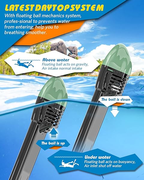 QingSong QingSong Full Face Snorkel Mask with Detachable Camera Mount 180 Degree Panoramic View Anti-Fog Anti-Leak for Youth and Adult - View 6 of 8