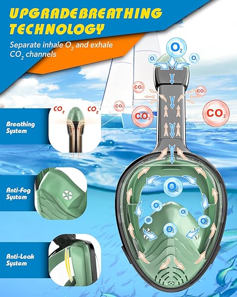 QingSong QingSong Full Face Snorkel Mask with Detachable Camera Mount 180 Degree Panoramic View Anti-Fog Anti-Leak for Youth and Adult - View 8 of 8