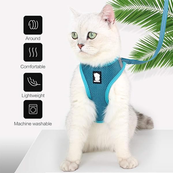 HEYWEAN HEYWEAN Cat Harness and Leash Ultra Light Escape Proof Kitten Collar Comfortable Walking Jacket for Cats Puppies and Rabbits - View 2 of 7