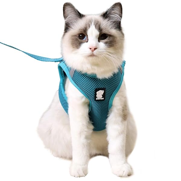 HEYWEAN HEYWEAN Cat Harness and Leash Ultra Light Escape Proof Kitten Collar Comfortable Walking Jacket for Cats Puppies and Rabbits