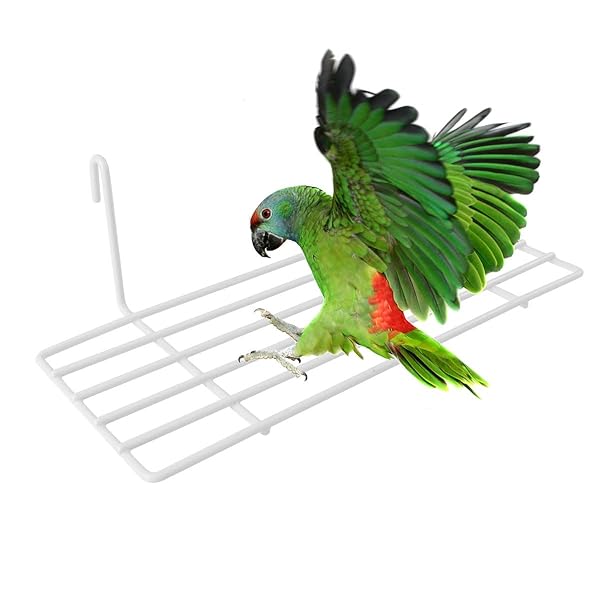 POPETPOP POPETPOP Parrot Perches Bird Toys Portable Training Playground Comfy Perch for Parrots Wire Playstand Cage Platform and Play Pen - View 6 of 9