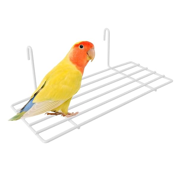 POPETPOP POPETPOP Parrot Perches Bird Toys Portable Training Playground Comfy Perch for Parrots Wire Playstand Cage Platform and Play Pen