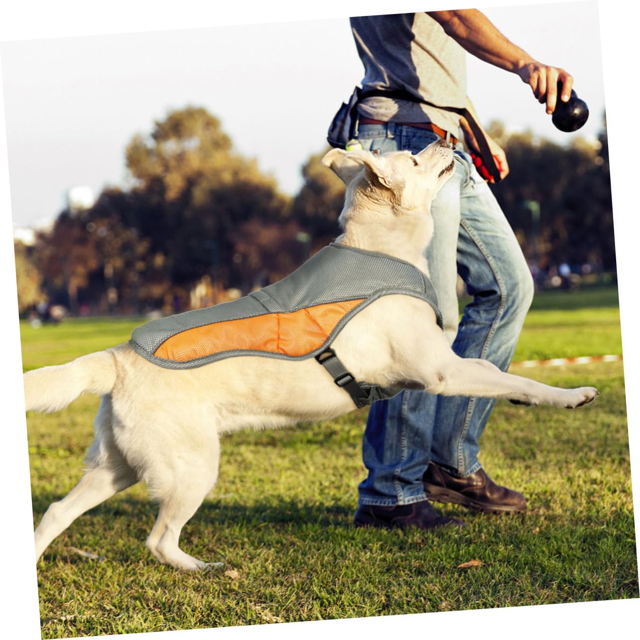 POPETPOP POPETPOP Dog Cooling Vest Reflective Adjustable Pet Cooler Jacket for Small Medium Dogs in Orange - View 5 of 9