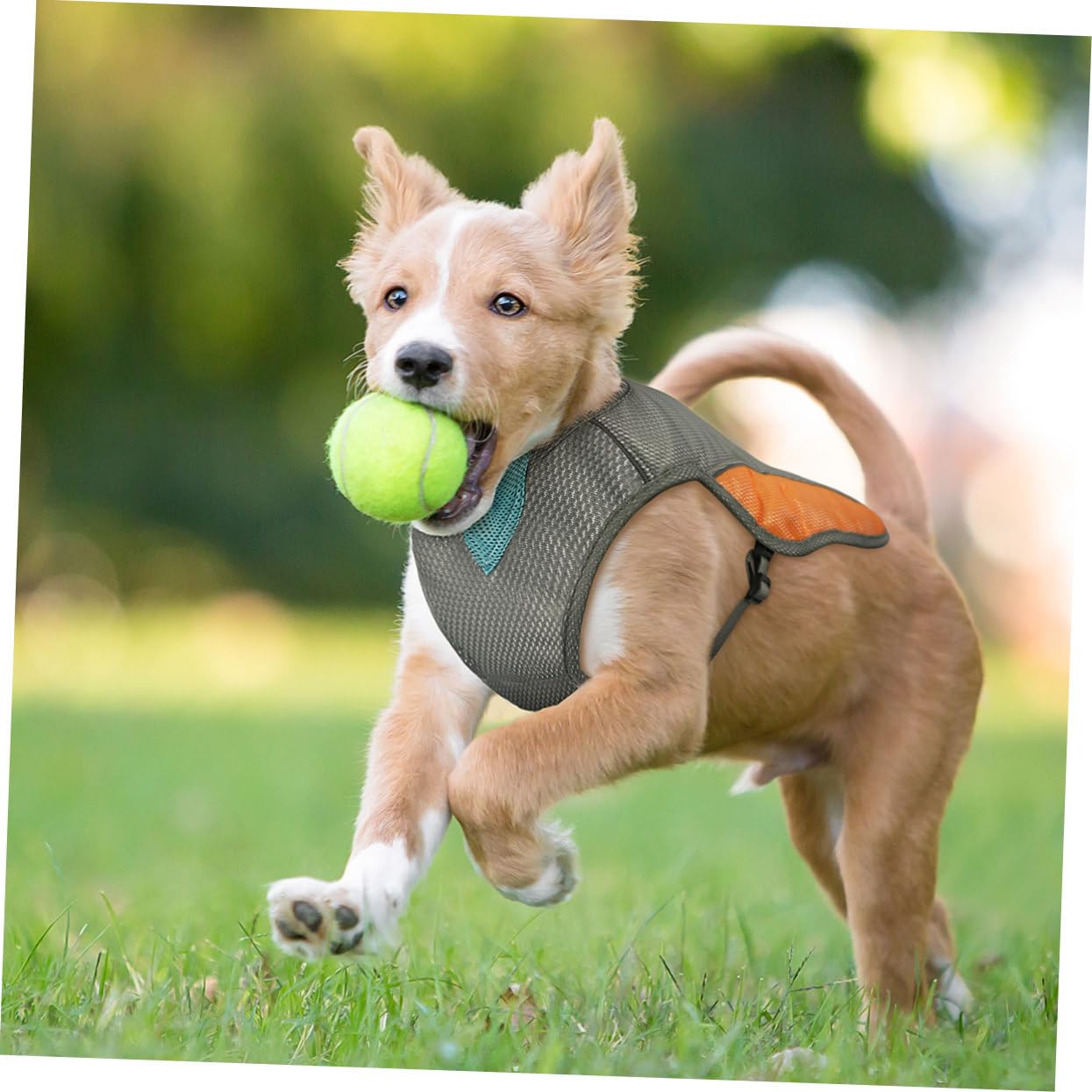 POPETPOP POPETPOP Dog Cooling Vest Reflective Adjustable Pet Cooler Jacket for Small Medium Dogs in Orange - View 6 of 9