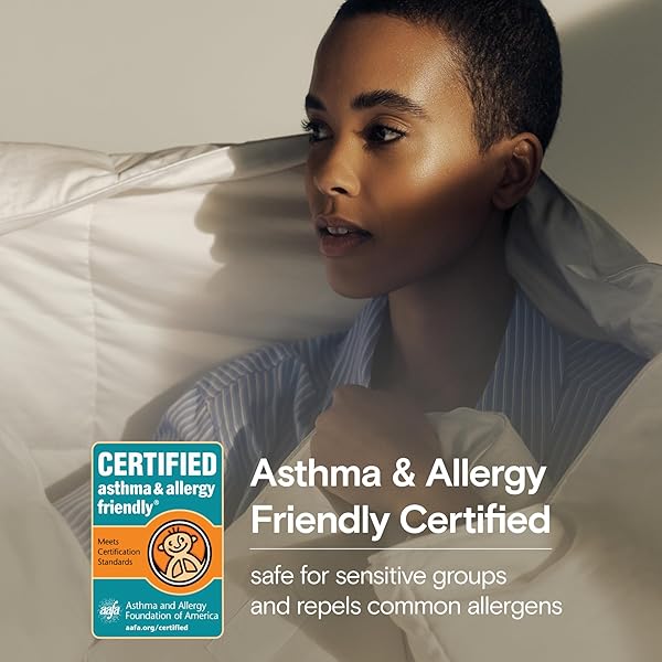 Sijo Sijo AiryWeight Tencel Sheet Set Buttery Soft Cooling Sheets 100% Lyocell Eucalyptus 4pc Queen Sky Color - View 6 of 8