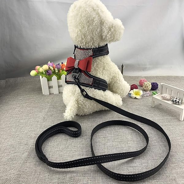 Newtensina Newtensina 2pcs Pink Bow Ties Bling Cute Dog Harness with Lead for Medium Dogs - View 4 of 8