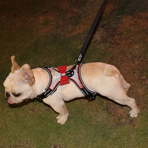 Newtensina Newtensina 2pcs Pink Bow Ties Bling Cute Dog Harness with Lead for Medium Dogs - View 6 of 8