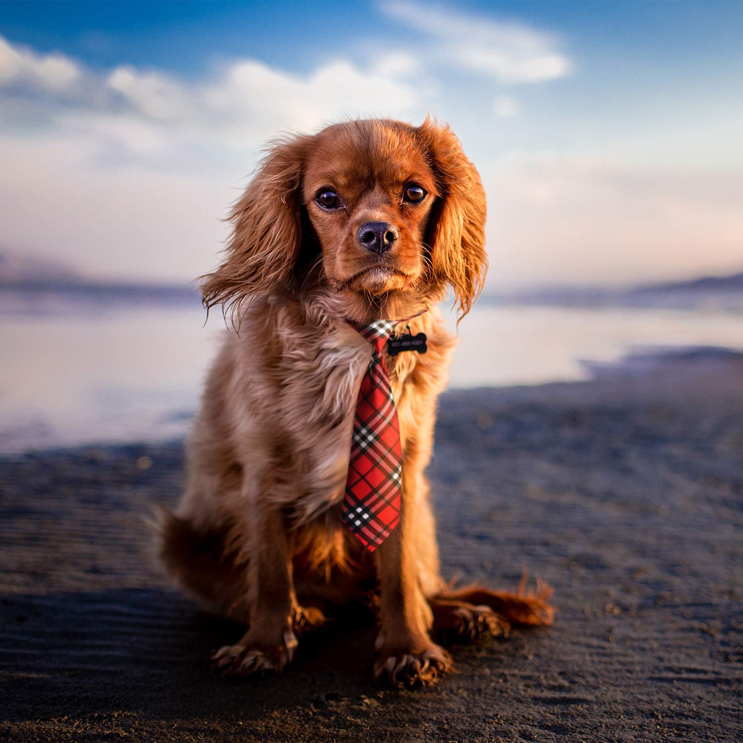 Segarty Segarty 30 PCS Dog Neck Ties Assorted Adjustable Neckties for Medium Large Pets Bulk Grooming Accessories for Holiday and Birthday Costumes - View 2 of 5