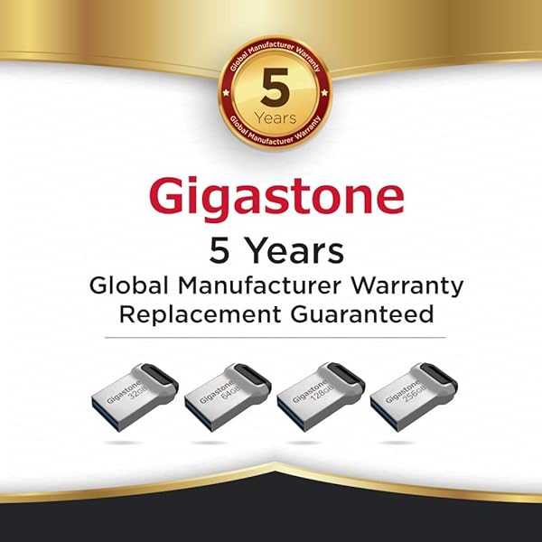 Gigastone GIGASTONE Z90 256GB USB 3.2 Gen1 Flash Drive 2-Pack Waterproof Compact Reliable Performance Pen Drive - View 9 of 9