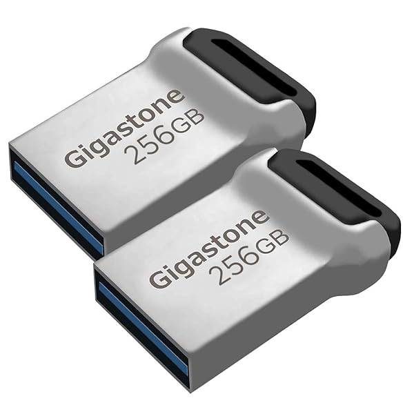 Gigastone GIGASTONE Z90 256GB USB 3.2 Gen1 Flash Drive 2-Pack Waterproof Compact Reliable Performance Pen Drive