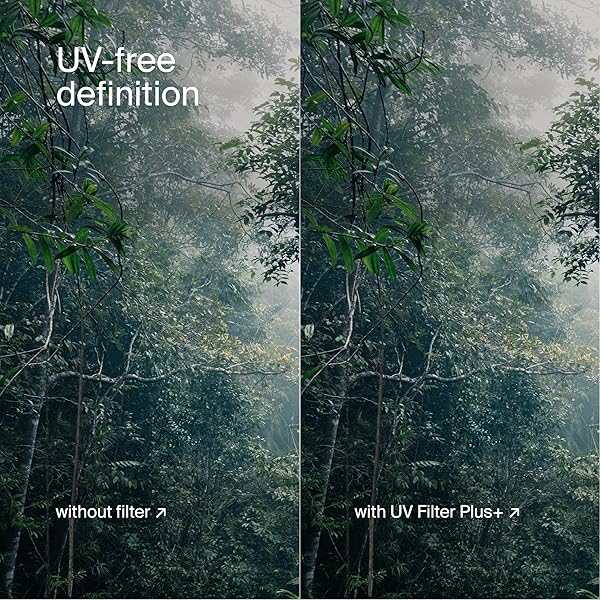 Urth Urth 77mm UV Lens Filter - Ultra-Slim, 30-Layer Nano-Coated Protection for Your Camera - View 7 of 8