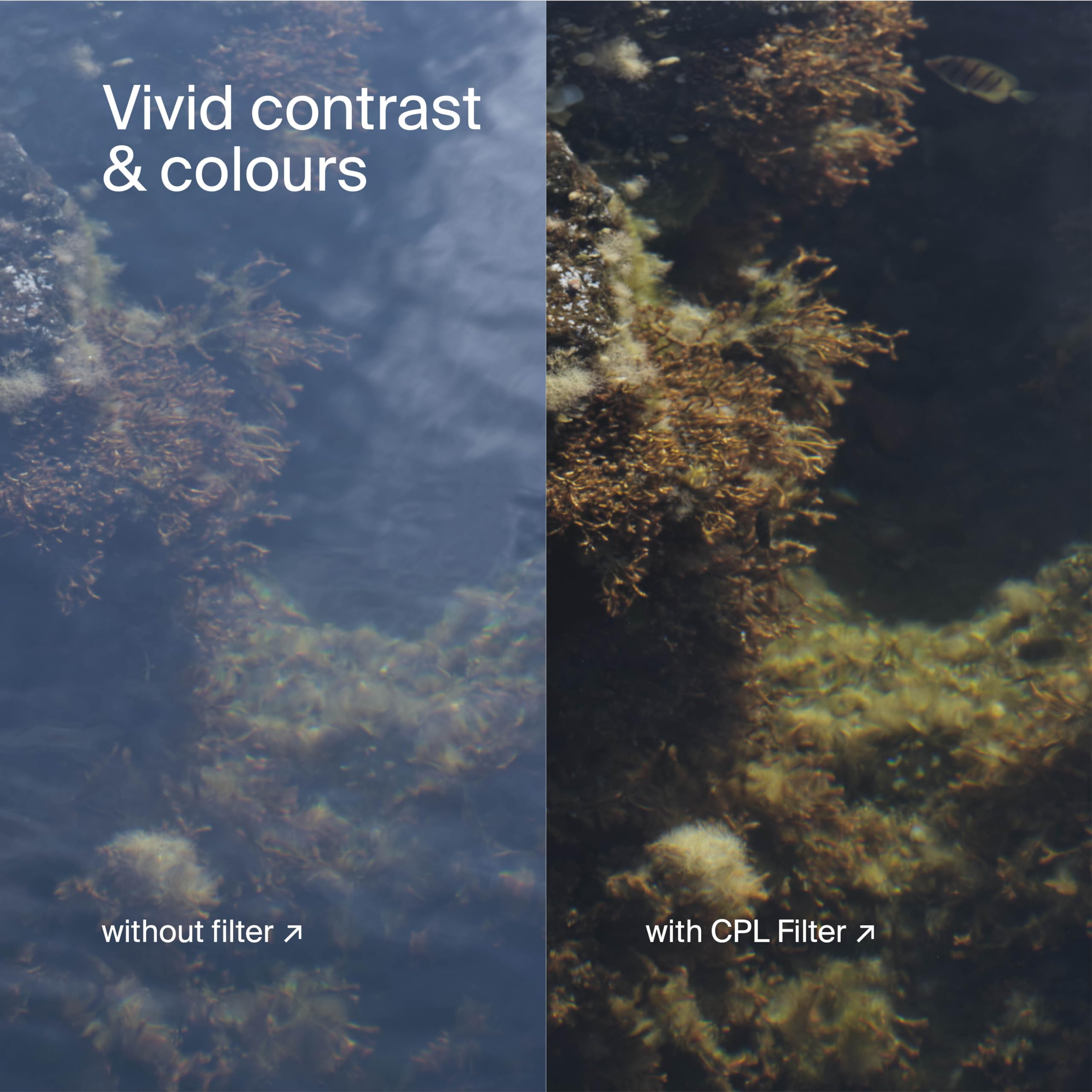 Urth Urth 43mm Circular Polarizing CPL Lens Filter Multi Coated Slim Design for Camera Lens Polarization - View 7 of 8