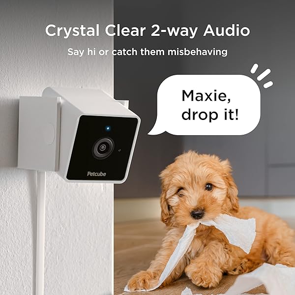 Petcube Petcube Cam Indoor Wi-Fi Pet and Security Camera with 2-Way Audio Night Vision 1080p HD Video and Smart Alerts for Home Security - View 4 of 6