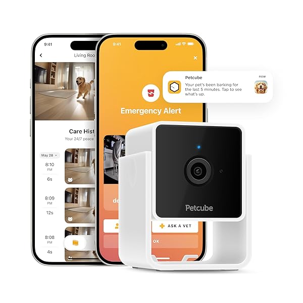 Petcube Petcube Cam Indoor Wi-Fi Pet and Security Camera with 2-Way Audio Night Vision 1080p HD Video and Smart Alerts for Home Security - View 2 of 6