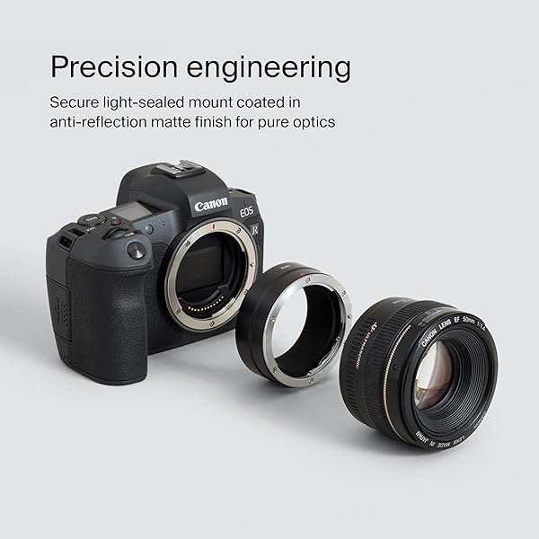 Urth Urth Lens Mount Adapter: EF/EF-S to RF Camera Body Compatibility Guide - View 5 of 5