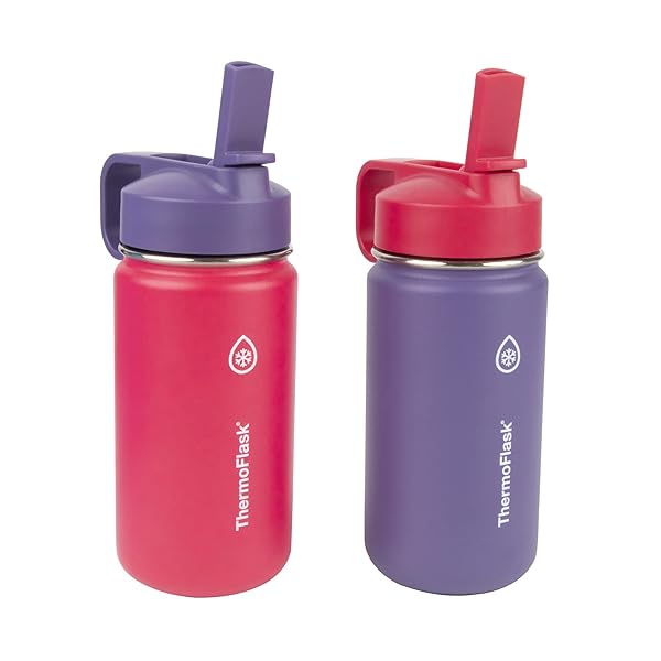 ThermoFlask ThermoFlask 14 oz Double Wall Vacuum Insulated Water Bottles - 2-Pack in Punch & Eggplant Colors