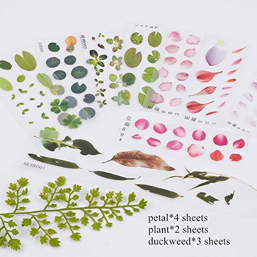 OLYCRAFT OLYCRAFT 18 Sheets 3D Goldfish Film Stickers for Koi Pond and Resin Craft Art - View 5 of 8