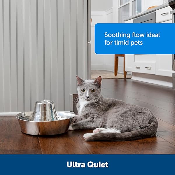 PetSafe PetSafe Seaside Stainless Steel Cat Water Fountain 60 oz Prevents Pet Acne Scratch and Rust Resistant Design - View 5 of 7