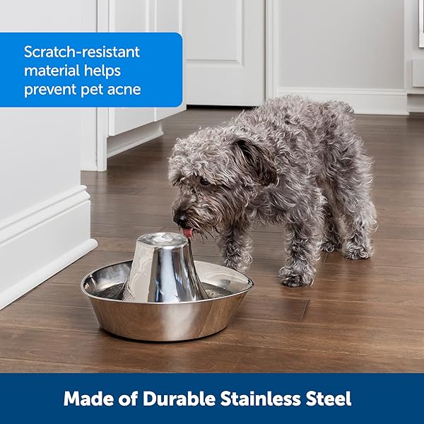 PetSafe PetSafe Seaside Stainless Steel Cat Water Fountain 60 oz Prevents Pet Acne Scratch and Rust Resistant Design - View 6 of 7