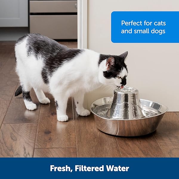 PetSafe PetSafe Seaside Stainless Steel Cat Water Fountain 60 oz Prevents Pet Acne Scratch and Rust Resistant Design - View 7 of 7