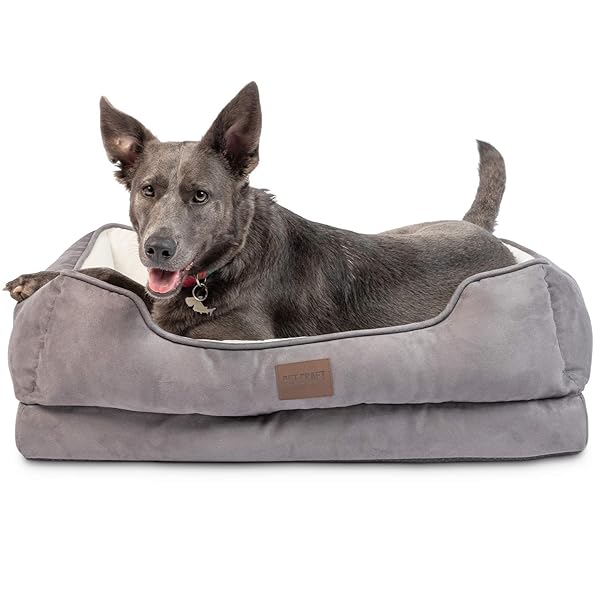 Pet Craft Supply Premium Orthopedic Dog Bed Sofa - Washable, Joint Relief for Small to Large Breeds - Pet Craft Supply