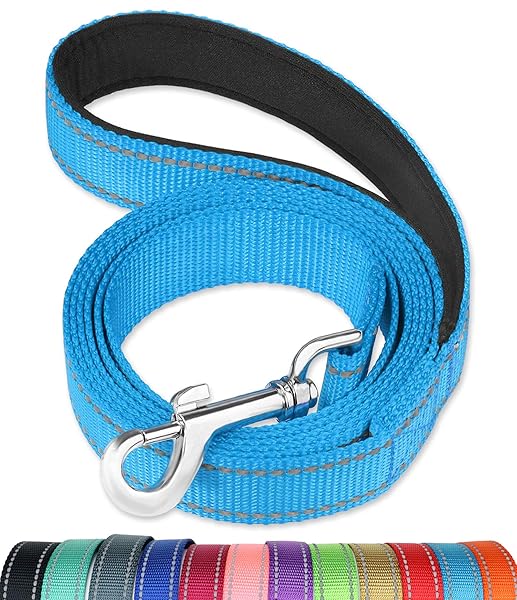 FunTags FunTags 6FT Reflective Dog Leash with Padded Handle for Large and Medium Dogs Sky Blue Training Walking Lead 1 Inch Wide