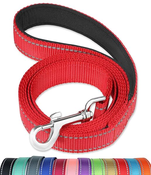 FunTags FunTags 6FT Reflective Dog Leash with Padded Handle for Large and Medium Dogs Red Training Walking Lead 1 Inch Wide