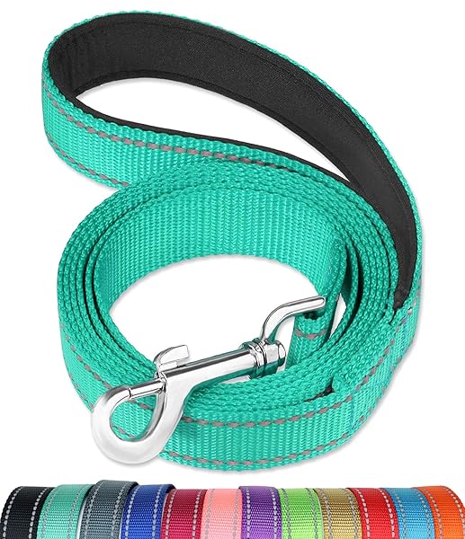 FunTags FunTags 6FT Reflective Dog Leash with Soft Padded Handle for Training and Walking in Turquoise for Large and Medium Dogs