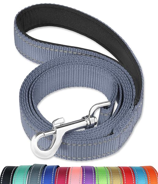 FunTags FunTags 6FT Reflective Dog Leash with Padded Handle for Large and Medium Dogs Grey