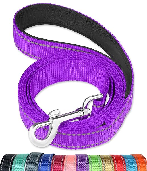 FunTags FunTags 6FT Reflective Dog Leash with Padded Handle for Large and Medium Dogs Purple