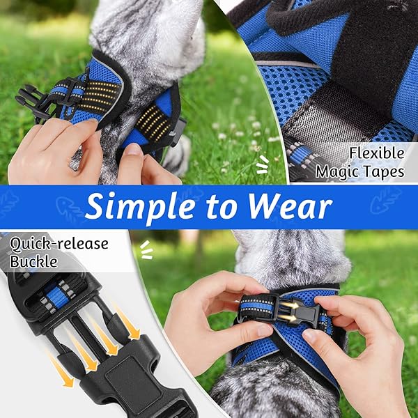 rabbitgoo Rabbitgoo Cat Harness and Leash Set Adjustable Soft Escape Proof Vest for Kittens Comfortable Outdoor Walking Blue Size S - View 4 of 10