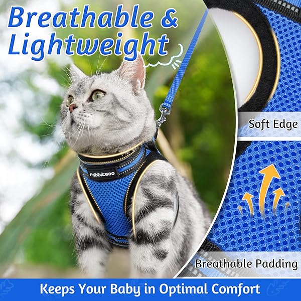 rabbitgoo Rabbitgoo Cat Harness and Leash Set Adjustable Soft Escape Proof Vest for Kittens Comfortable Outdoor Walking Blue Size S - View 5 of 10