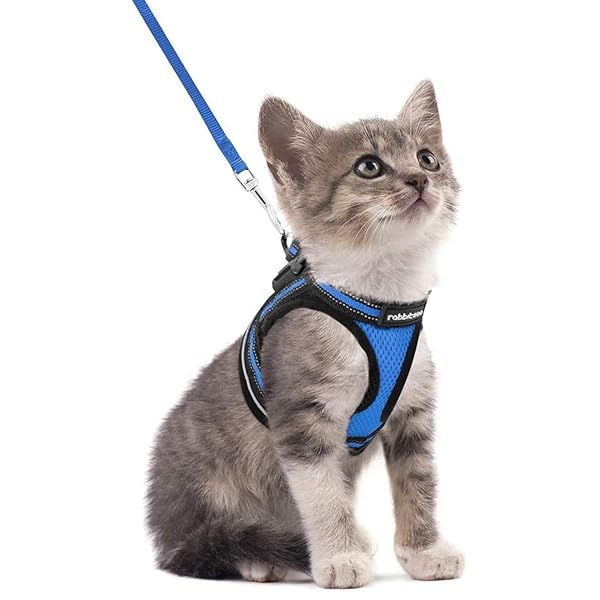 rabbitgoo Rabbitgoo Cat Harness and Leash Set Adjustable Soft Escape Proof Vest for Kittens Comfortable Outdoor Walking Blue Size S