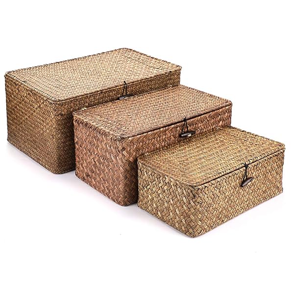Hipiwe Hipiwe Set of 3 Natural Seagrass Storage Baskets with Lid Handwoven Wicker Organizer for Home Shelf and Wardrobe Coffee Color