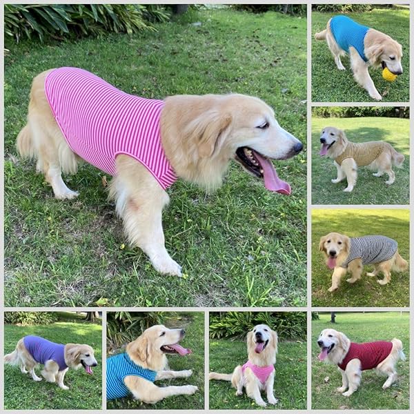 LEVIBASIC Cotton Striped Dog Shirts Breathable Vest for Puppy and Cat Soft Stretchable Tee Tank Top Sleeveless Fashionable Cute Colors for Boys and Girls XL Pink Green - View 5 of 7