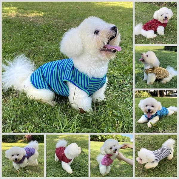 LEVIBASIC Cotton Striped Dog Shirts Breathable Vest for Puppies and Cats Soft Stretchable Sleeveless Tee in Pink and Green for Boys and Girls XS - View 5 of 7