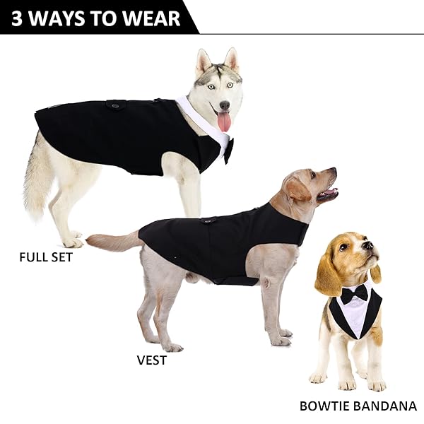 DORA BRIDAL Large Dog Tuxedo Wedding Suit with Bowtie for Stylish Pets - View 3 of 8