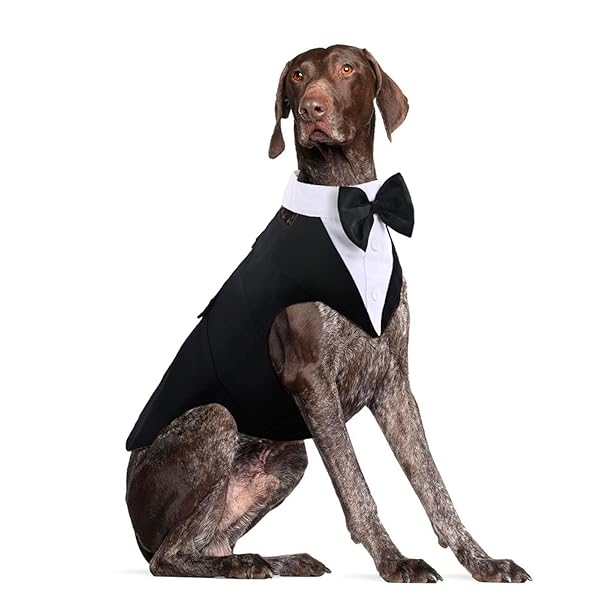 DORA BRIDAL Large Dog Tuxedo Wedding Suit with Bowtie for Stylish Pets - View 2 of 8