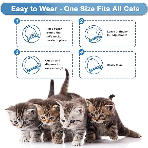Wustentre Wustentre Adjustable Anxiety Collar 3 Pack for Cats and Kittens with Calming Pheromones Stress Reliever Relaxing Comfortable Violet - View 5 of 7