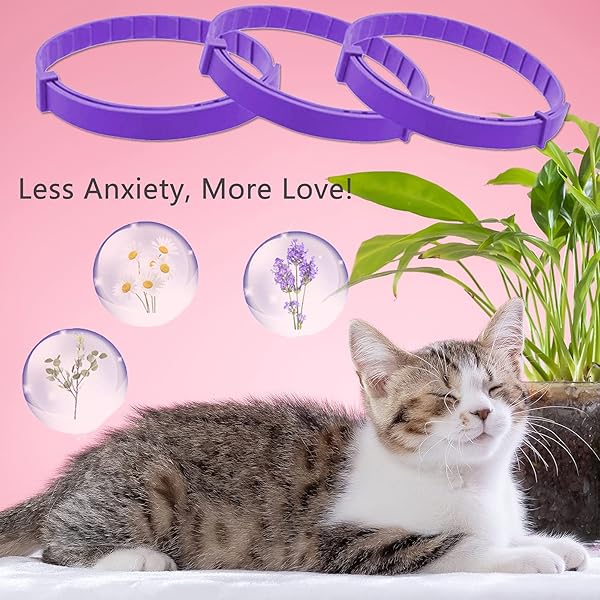 Wustentre Wustentre Adjustable Anxiety Collar 3 Pack for Cats and Kittens with Calming Pheromones Stress Reliever Relaxing Comfortable Violet - View 7 of 7