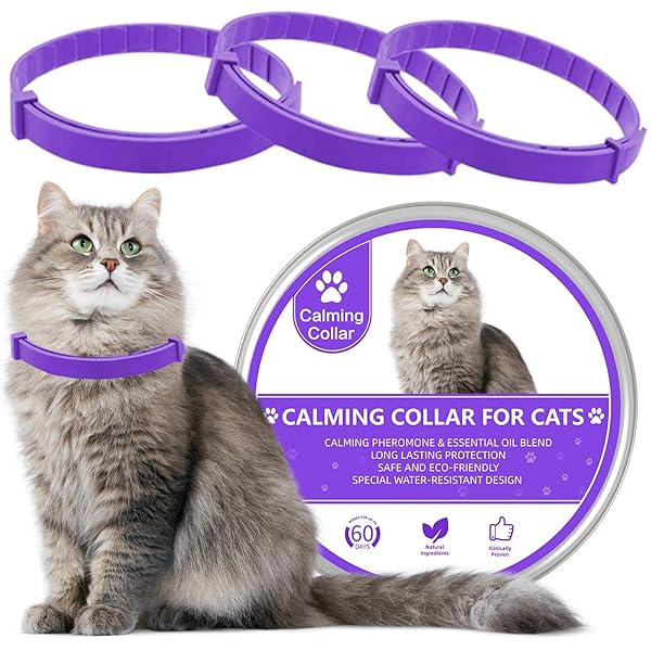 Wustentre Wustentre Adjustable Anxiety Collar 3 Pack for Cats and Kittens with Calming Pheromones Stress Reliever Relaxing Comfortable Violet