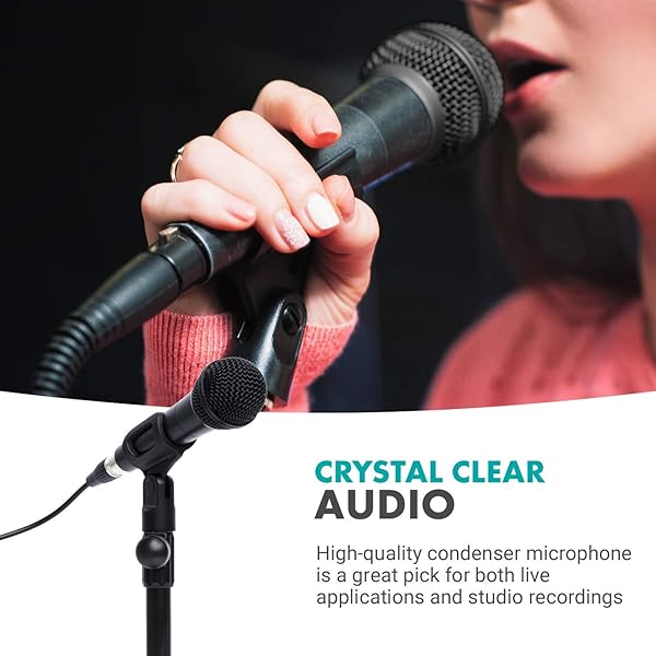 Movo Movo HV-M5 Dynamic Cardioid Vocal Microphone with Shockmount and Windscreen for Professional Singing and Recording XLR Compatible - View 7 of 8