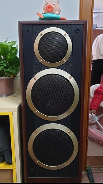 Fielect Fielect 10 Inch Speaker Grill Cover Subwoofer Grille Protector Black Audio Accessories - View 8 of 8