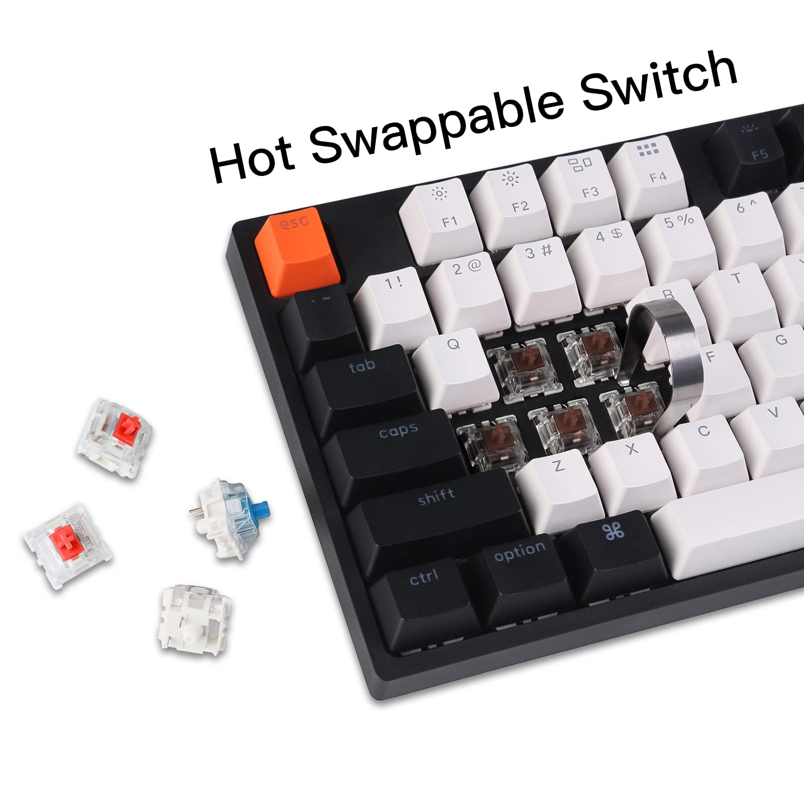 Keychron Keychron C2 Full Size Wired Mechanical Keyboard for Mac and Windows with Hot-swappable Gateron G Pro Brown Switch and White Backlight - View 4 of 7