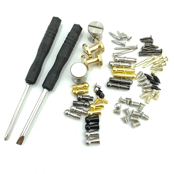 RD GARDEN RD GARDEN 66pcs Belt Buckle Repair Screws and Hooks Assorted Kit in Multicolor Brass and Stainless Steel